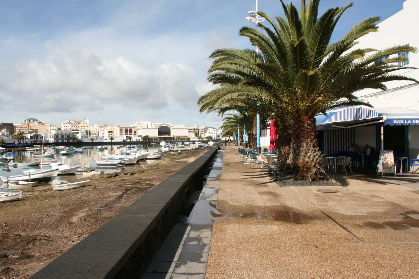 A palm-lined promenade beside the lagoon in Arrecife, with small boats at low tide.