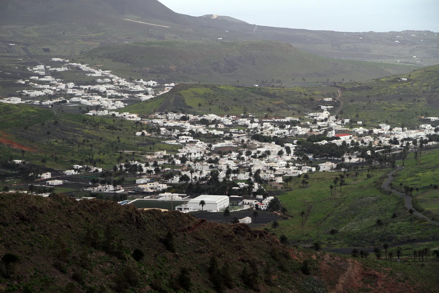 Haría's white houses spread along a green valley of palms, seen from the hills.