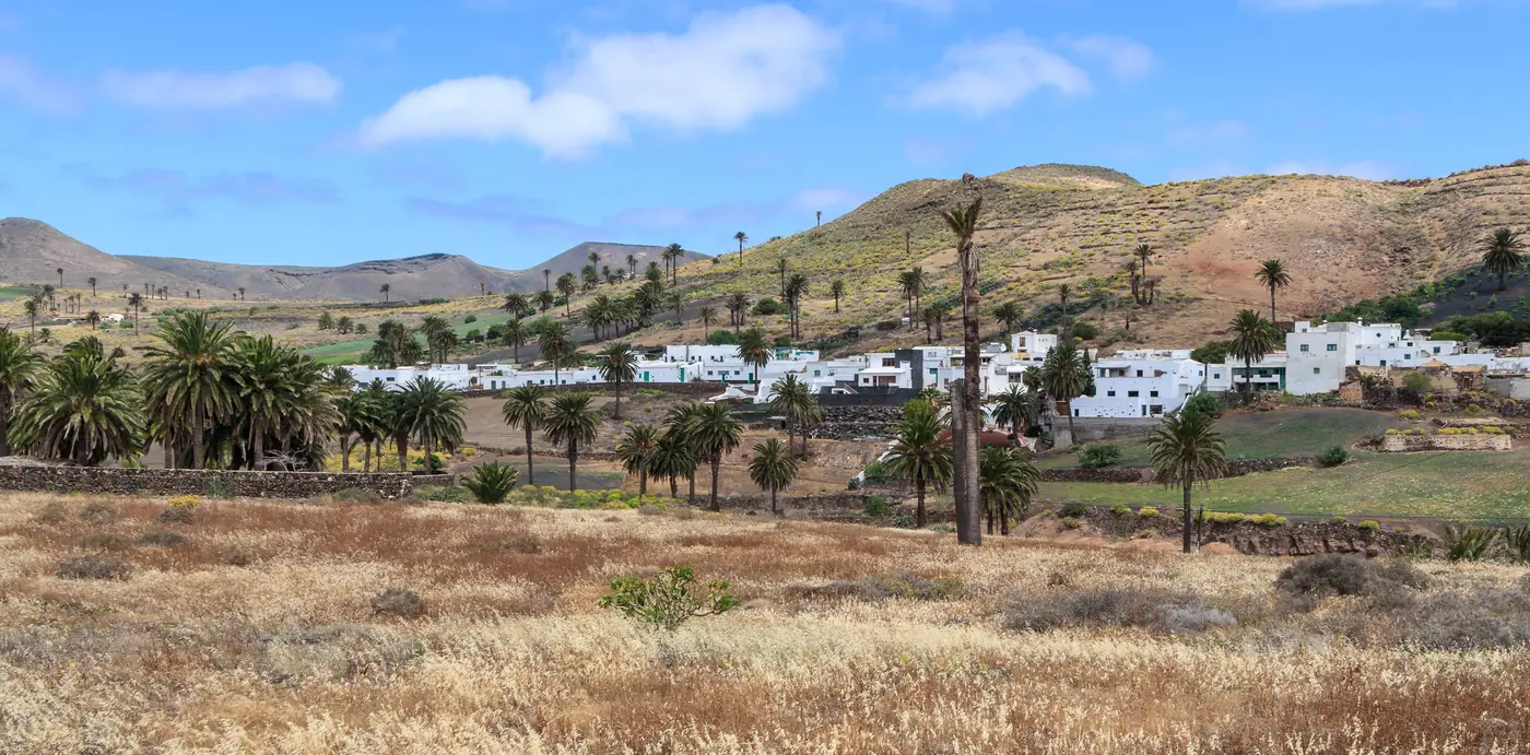 White houses of Haría among palm trees, with dry grass in front and brown hills behind.